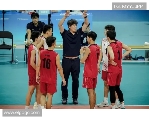 排球精神：深入重庆排球队的默契与协作之道